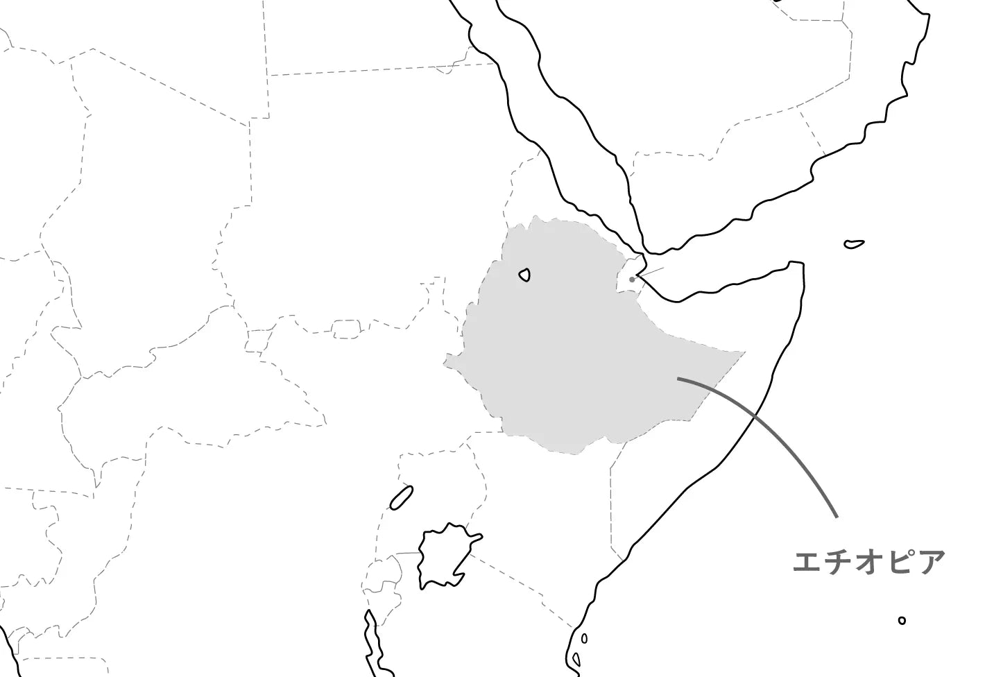 水出しアイスコーヒーバック