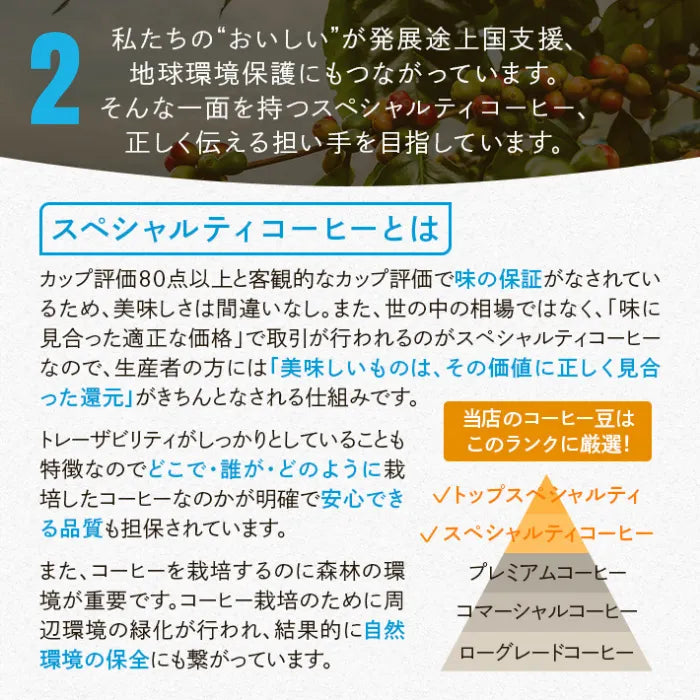 スペシャルティコーヒー ドリップバッグ 個包装 （bitter blends Morning） 16個