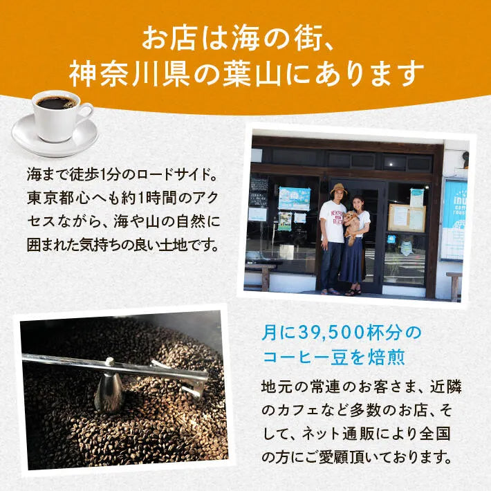 スペシャルティコーヒー ドリップバッグ 個包装 （bitter blends Morning） 16個