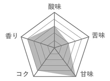 水出しアイスコーヒーバック