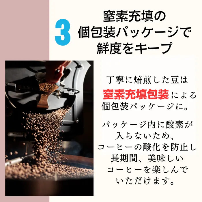 スペシャルティコーヒー ドリップバッグ 個包装 （bitter blends Morning） 16個