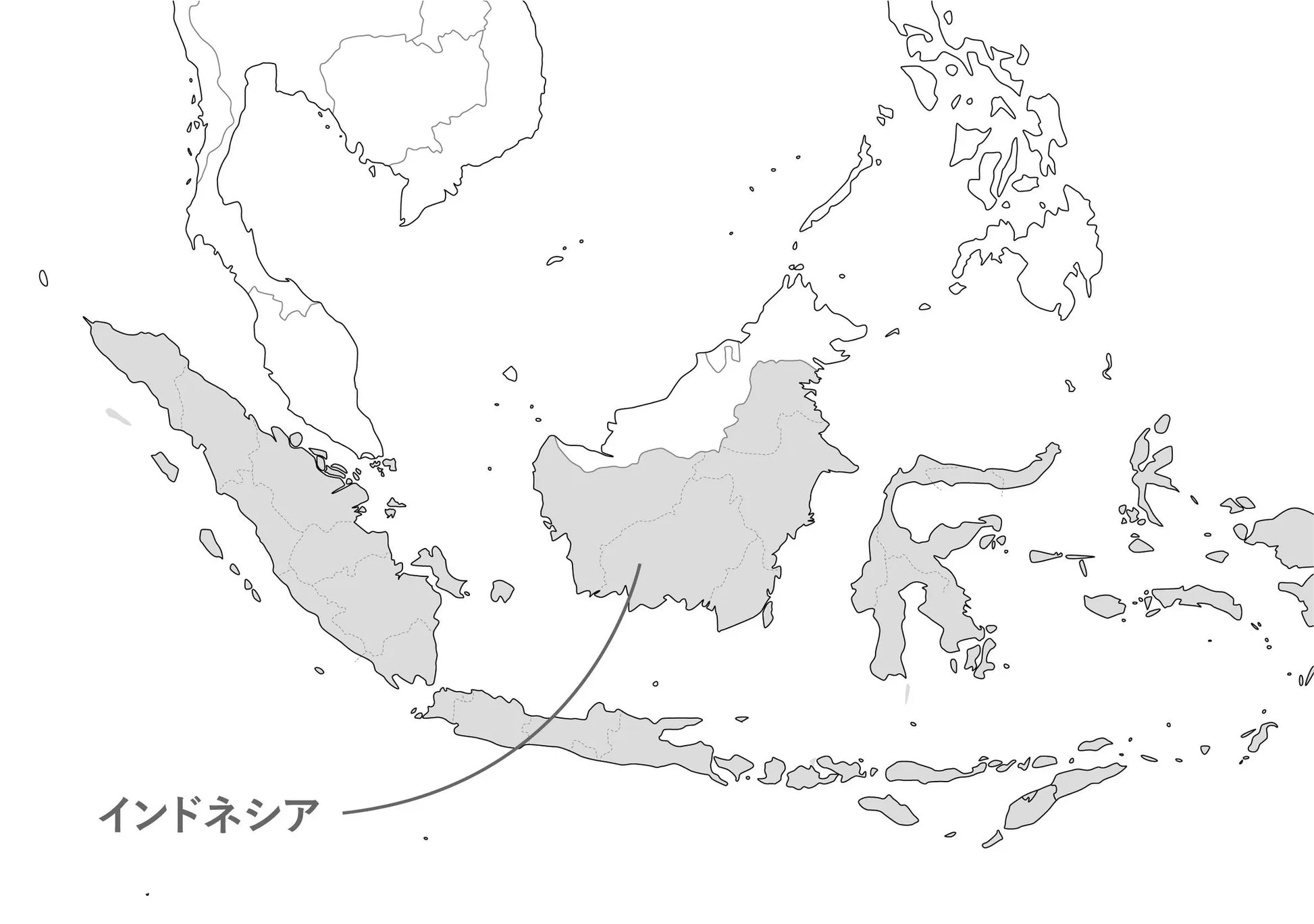 水出しアイスコーヒーバック
